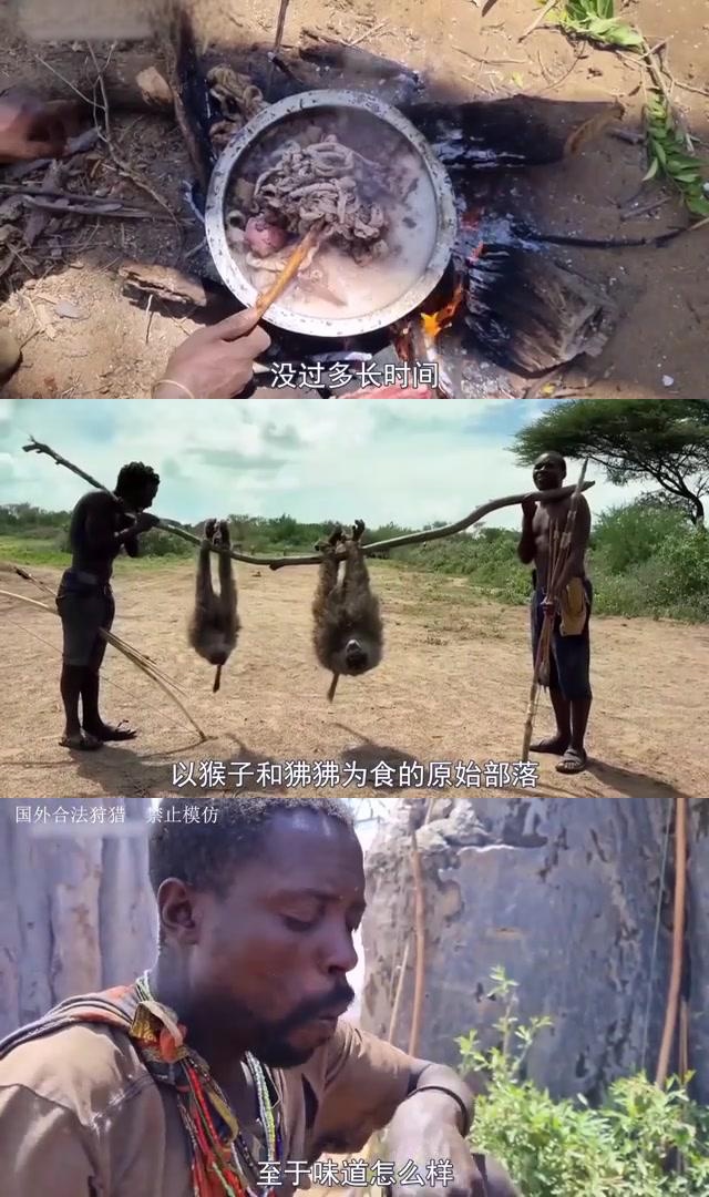 无调料的美味佳肴 哈扎比部落,位于非洲的一个原始部落,以狩猎猴子和