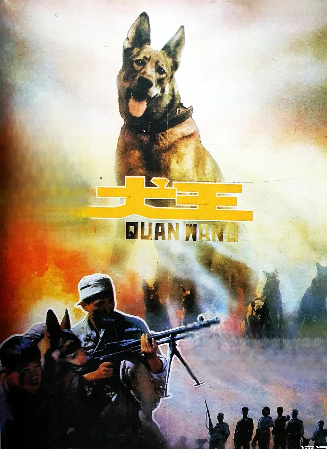 犬王》:导演姚守岗虐待军犬 导演姚守岗为了让电影更加真实震撼,竟然