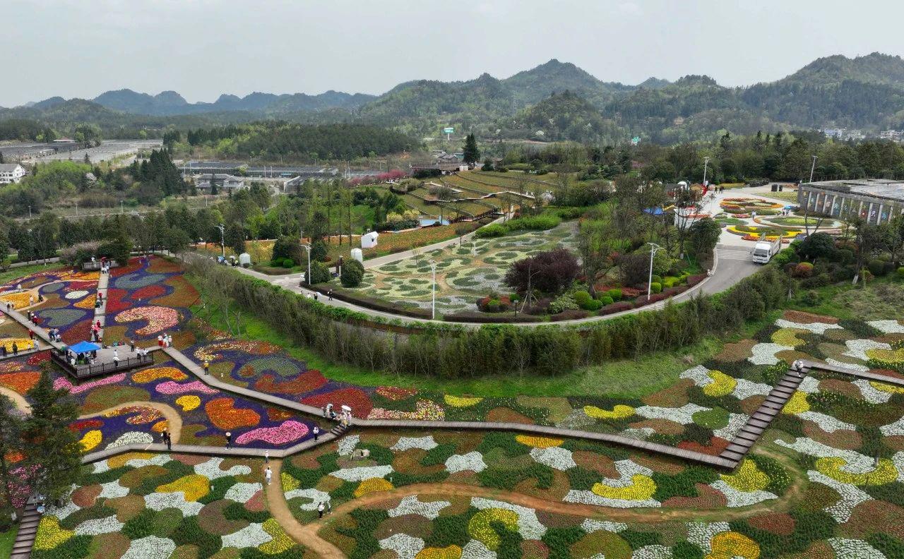 贵阳花画小镇:从田园到餐桌的纯净之旅 每一颗草莓,都是大自然的甜蜜