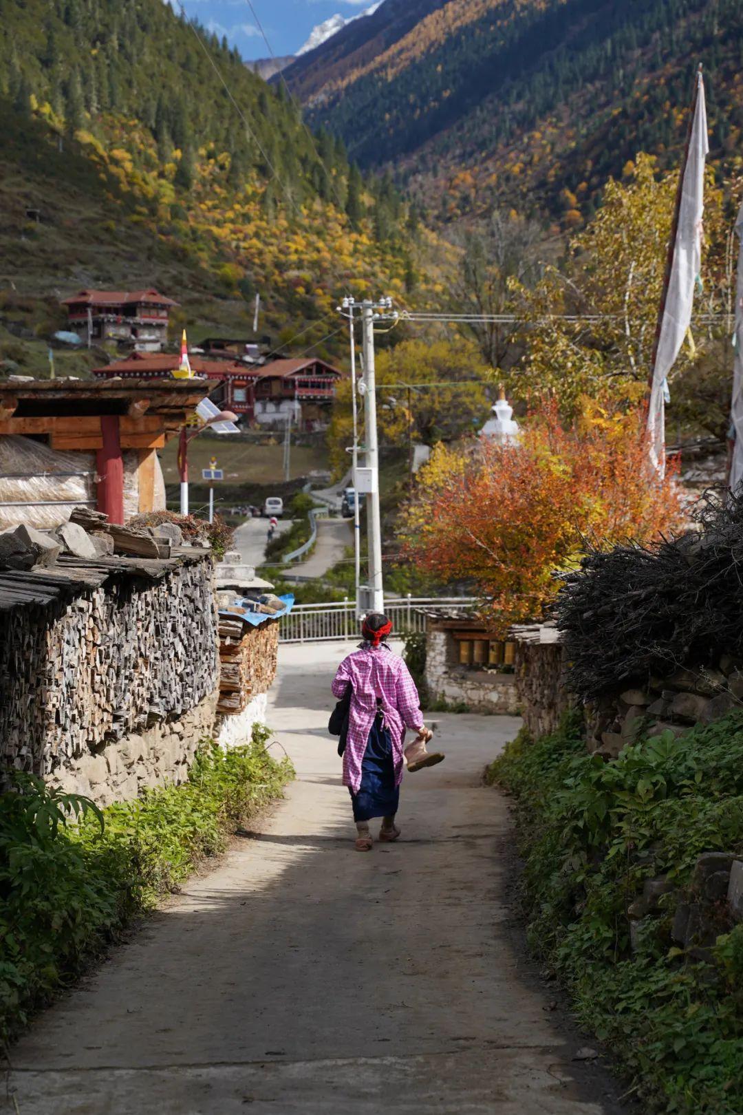 巴尔沟:自然秘境 巴尔沟,一处隐藏于沙冲乡巴尔村的自然秘境,沟谷蜿蜒