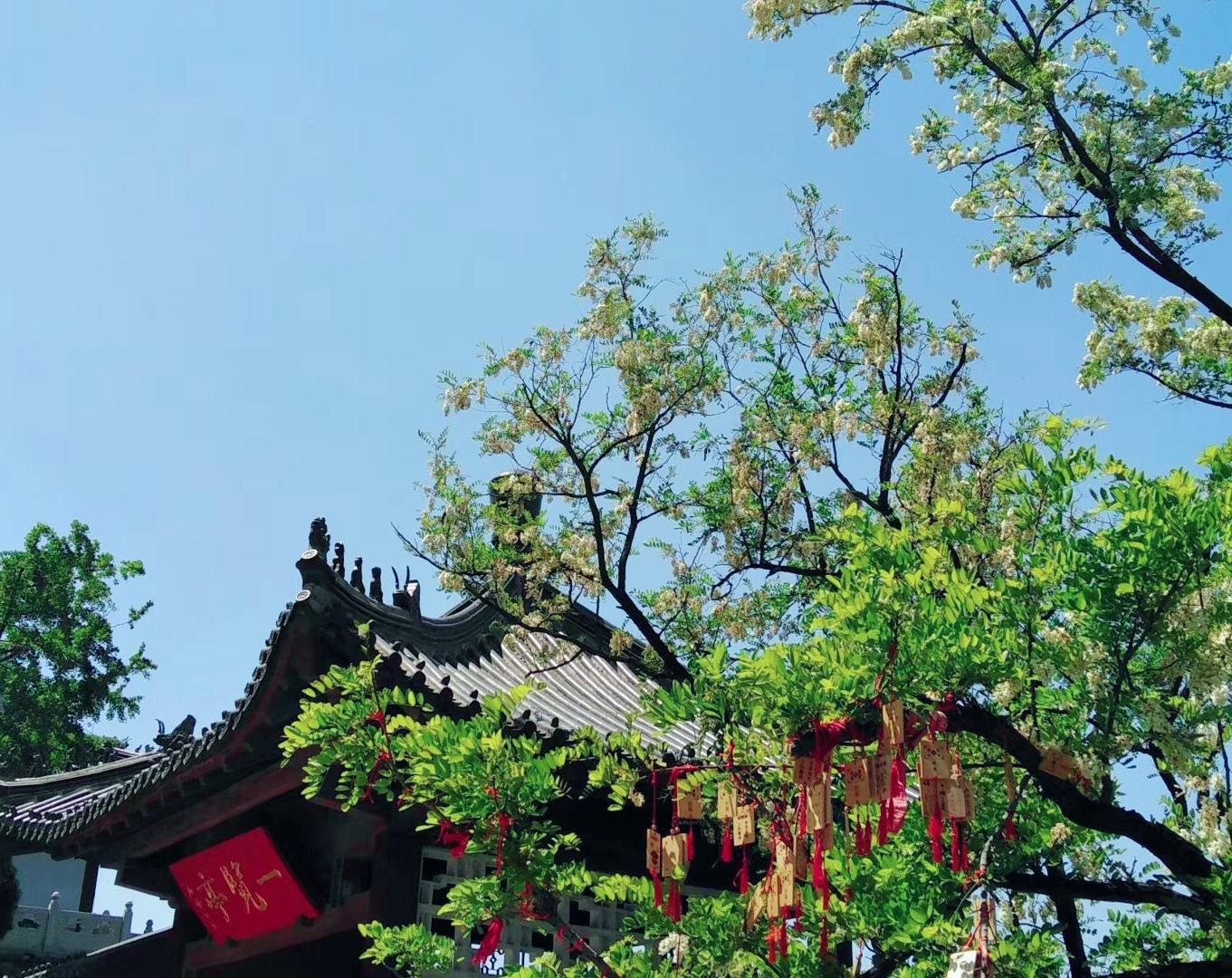 千佛山观音禅寺:禅意之旅 千佛山观音禅寺,摩崖石刻间藏着岁月的秘密.