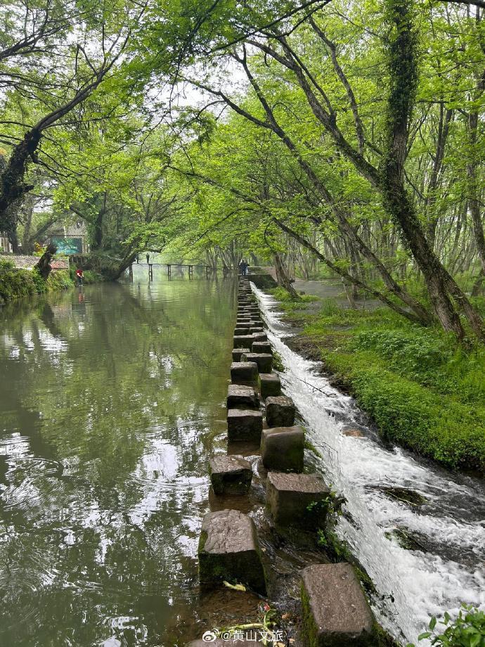 黄山西溪南湿地公园图片