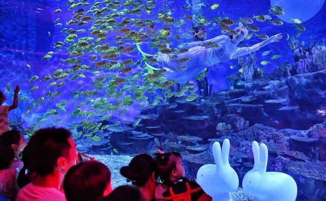 来常州海昌海洋探索馆,这里将带你领略江苏省最佳水族馆的震撼魅力!