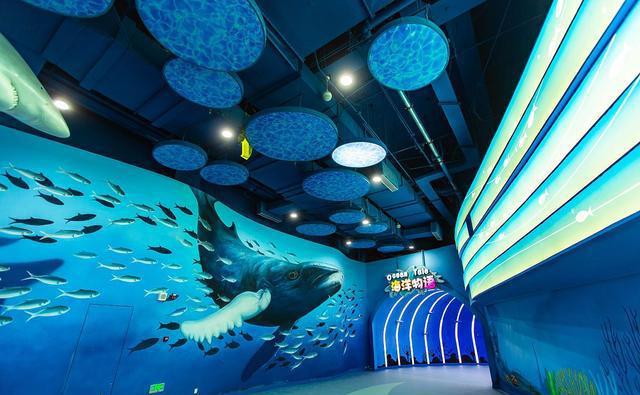来常州海昌海洋探索馆,这里将带你领略江苏省最佳水族馆的震撼魅力!