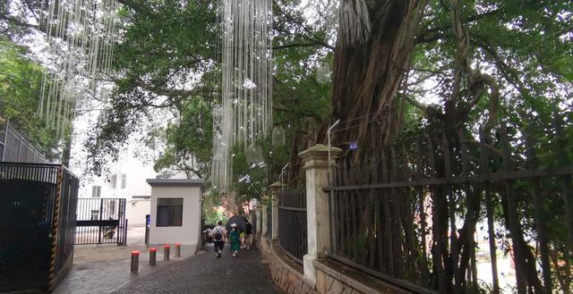 秋日福州乐群路:沐浴金色阳光,探索古韵之旅 福州古仓山的乐群路,因