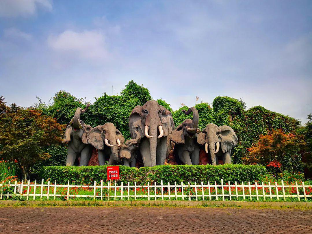 这里不仅是湖南省唯一一家国家级森林动物园,更是萌宠们的天堂!