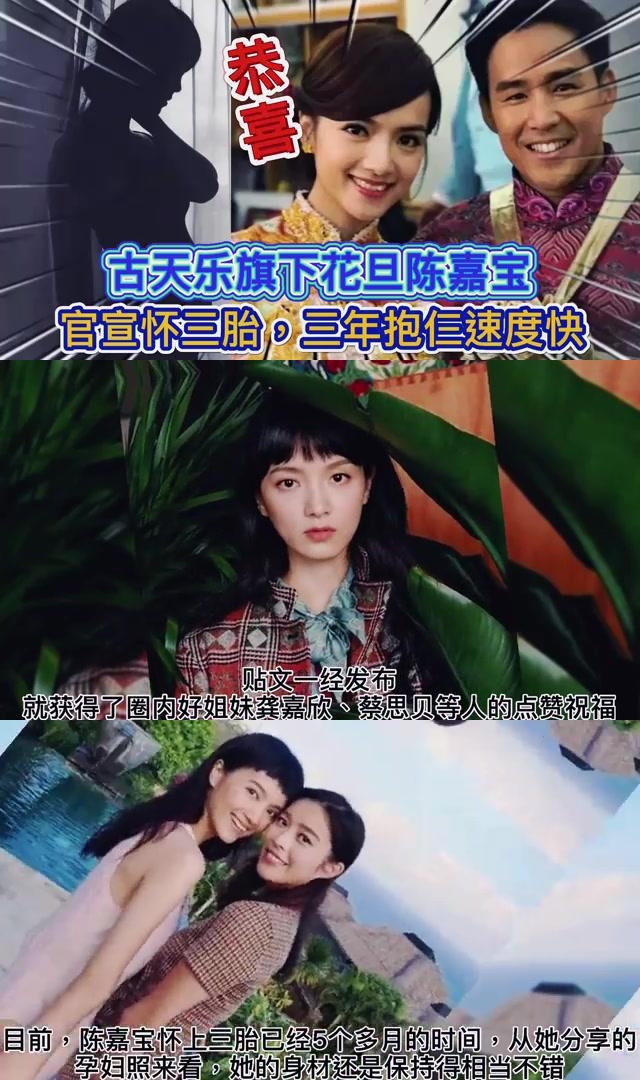 陈嘉宝三胎图片