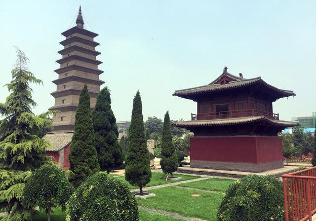 聊城莘县,这片富饶的土地藏着无数宝藏!