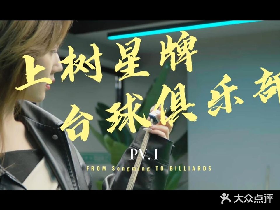 就树上牌星了媲台球俱乐部