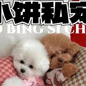 小饼私宠(中冶滨江半岛店)