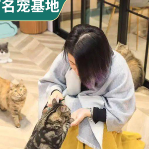 广西绿城宠物·宠物市场·猫舍犬舍