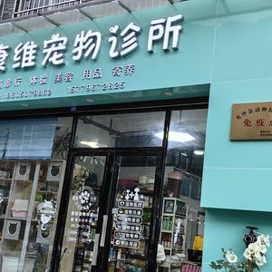 康维宠物诊所