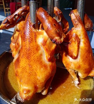 九洲一号栋企鸡