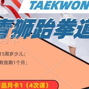 青狮跆跆拳道(海洲之星店)