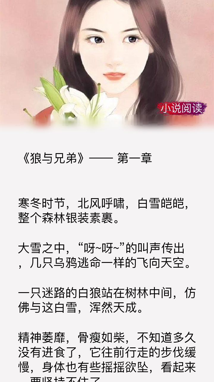 经典巨作《狼与兄弟》,让人回味无穷的片段,99%的书友都点赞!