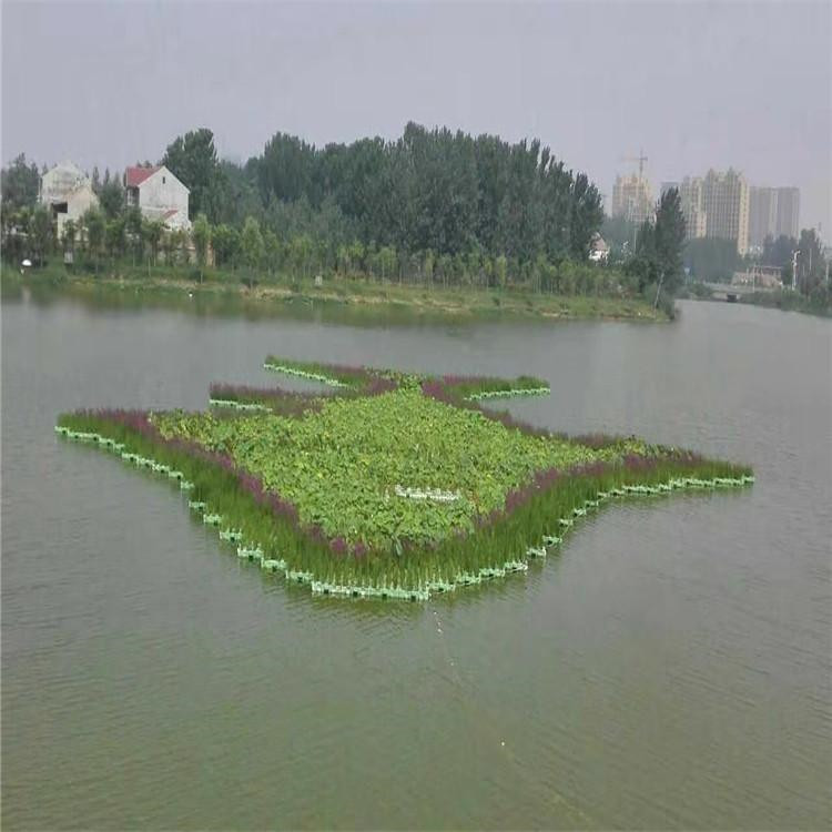 人工浮床的成本效益分析
