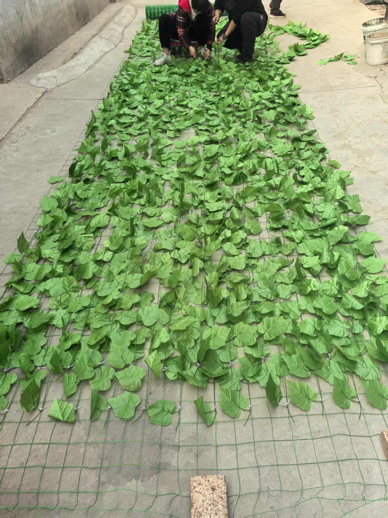 树叶网的桌面端支持哪些系统