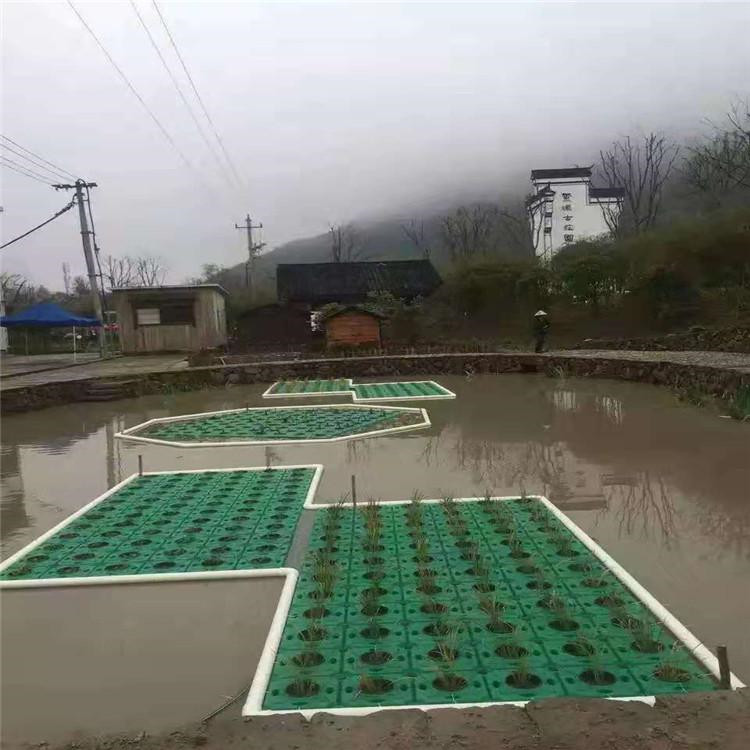 水生植物种植浮床的防霉性能如何
