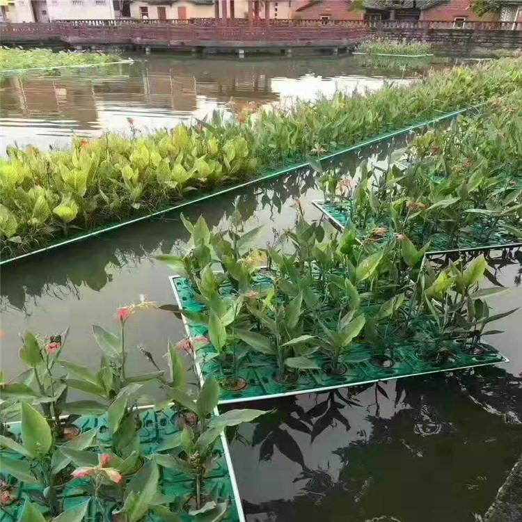 聚酯纤维浮岛的生物附着特性