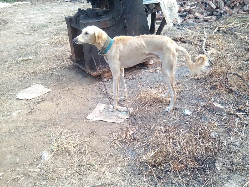 百度贴吧商家已入驻