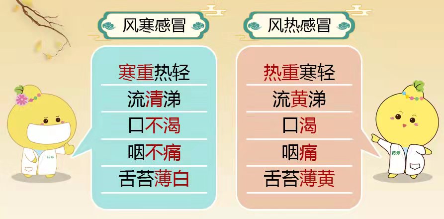 為什麼風熱感冒卻不該喝感冒清熱顆粒