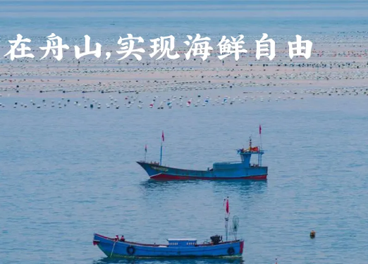 江浙沪的海鲜自由，全靠这座城市