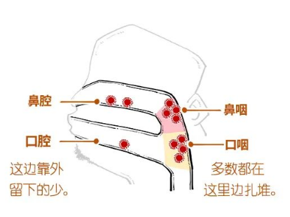 捅鼻子和捅嗓子，到底啥区别？