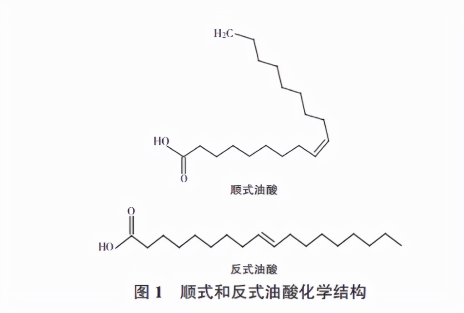 油脂的结构通式图片