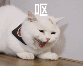 正在上传...