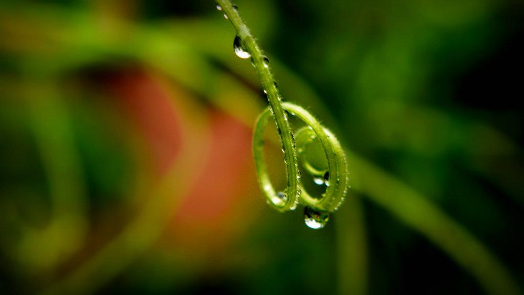 强降雨“主战场”转移至华南 今日起南北方高温渐消退