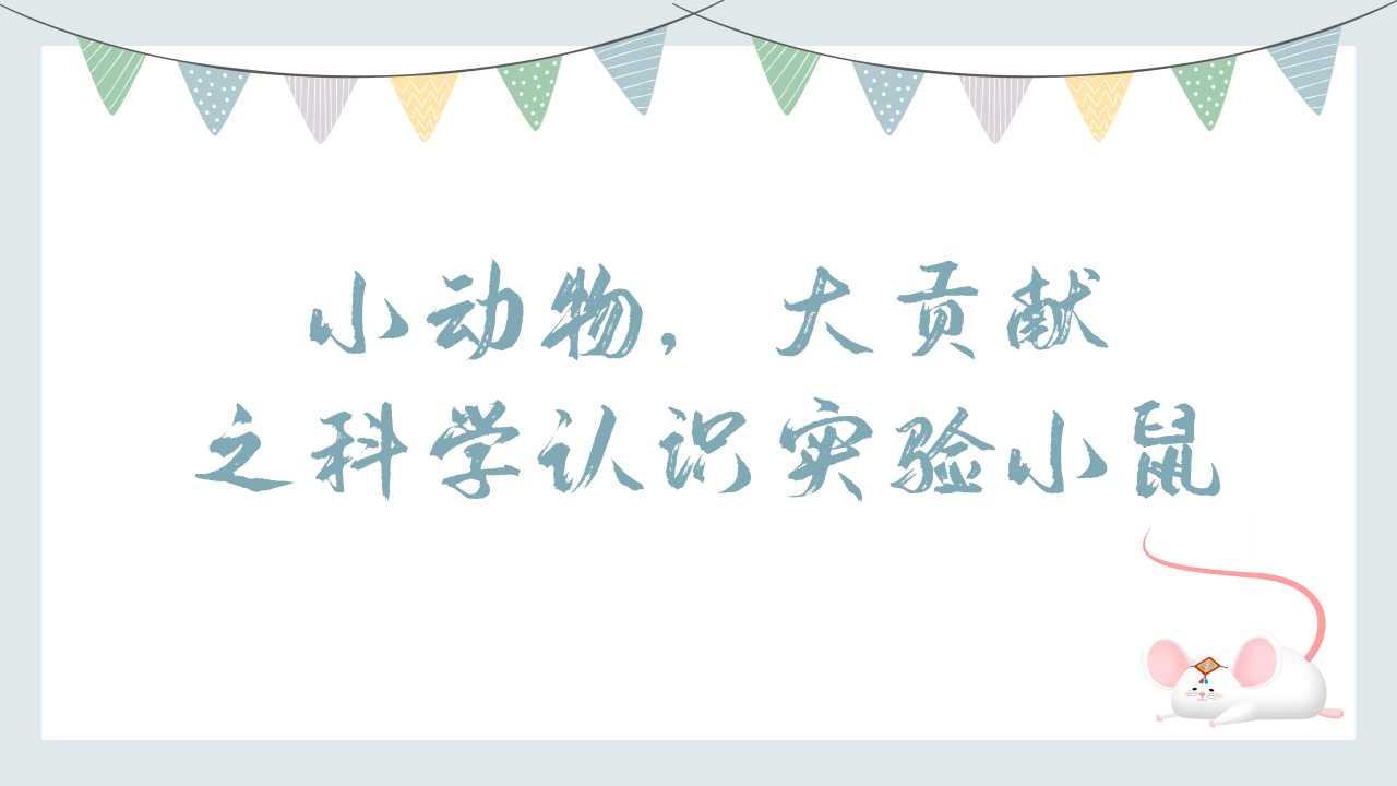 小动物、大贡献——科学认识实验小鼠