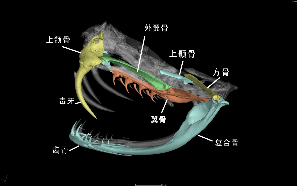 图文详情