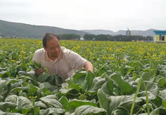 他突破了这个技术，救活了一大批马铃薯加工企业