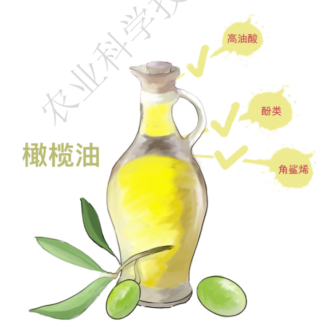 生活科普：橄榄油是最安康的油吗？