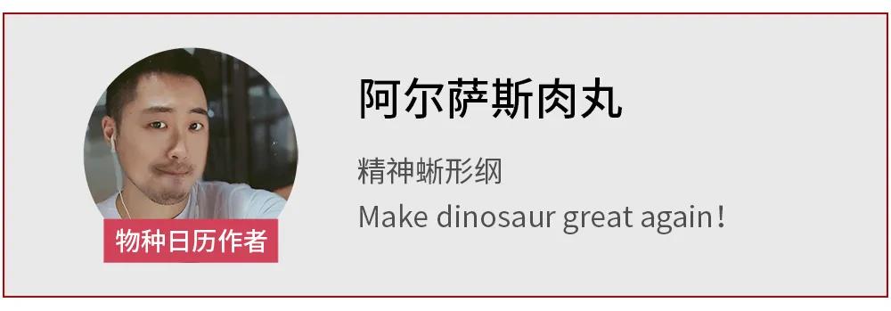 正在上传...