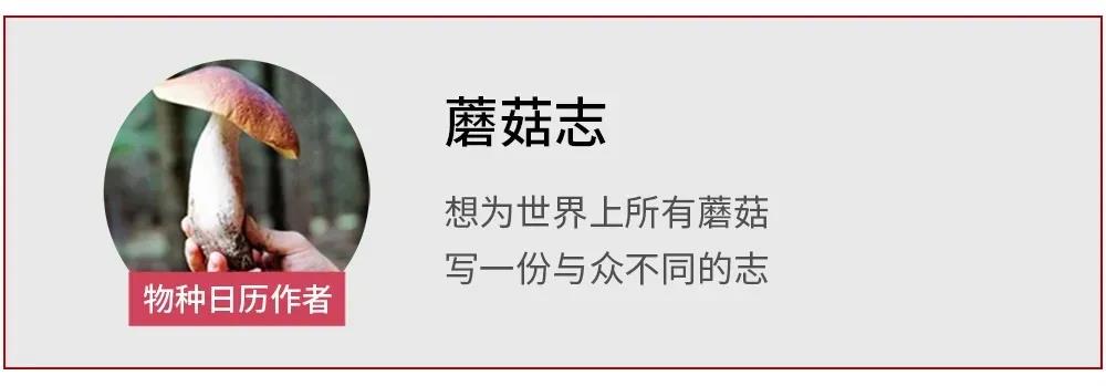正在上传...