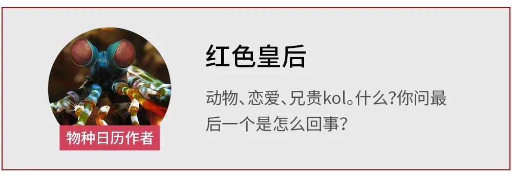 正在上传...