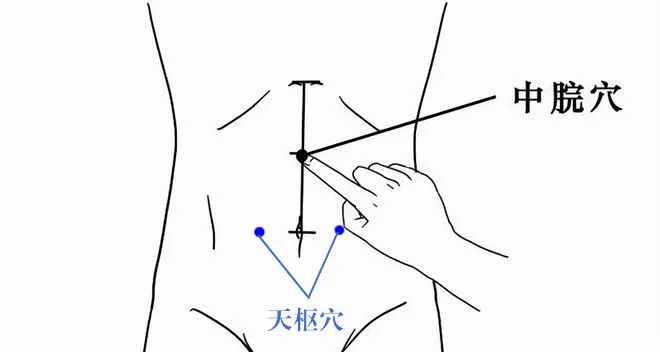 【健康养生】今日立夏，阳气最盛的季节，正是养生关键期！