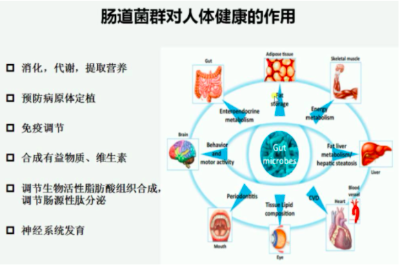 我吃得不多，还做运动，不应该这么胖！我做错了什么？