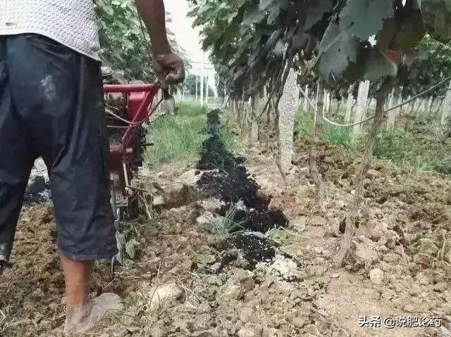 正在上传...