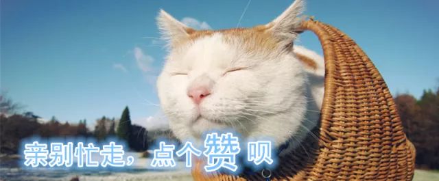 正在上传...
