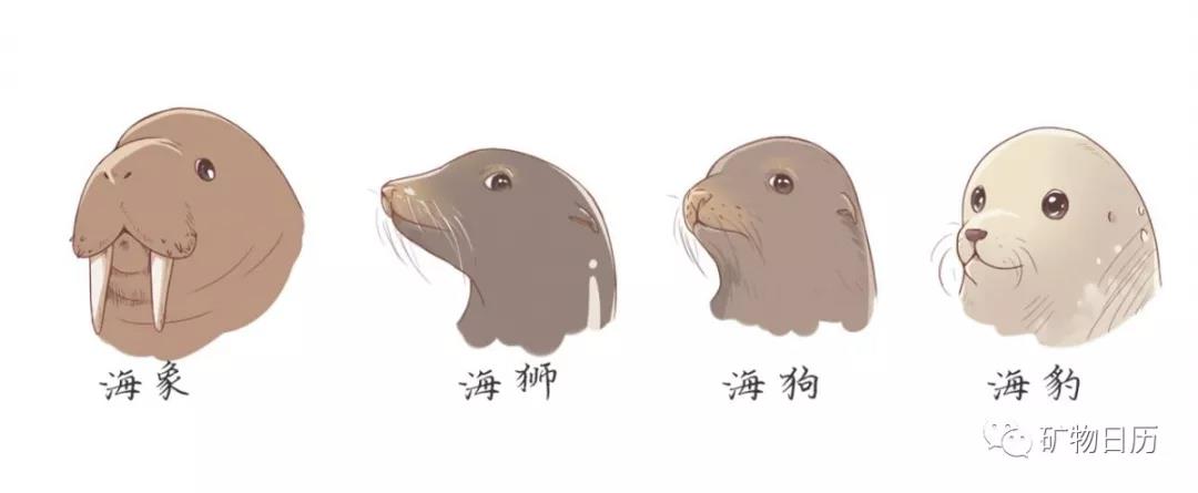 正在上传...