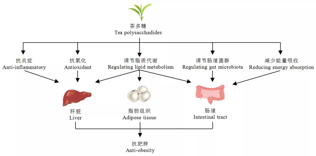 正在上传...