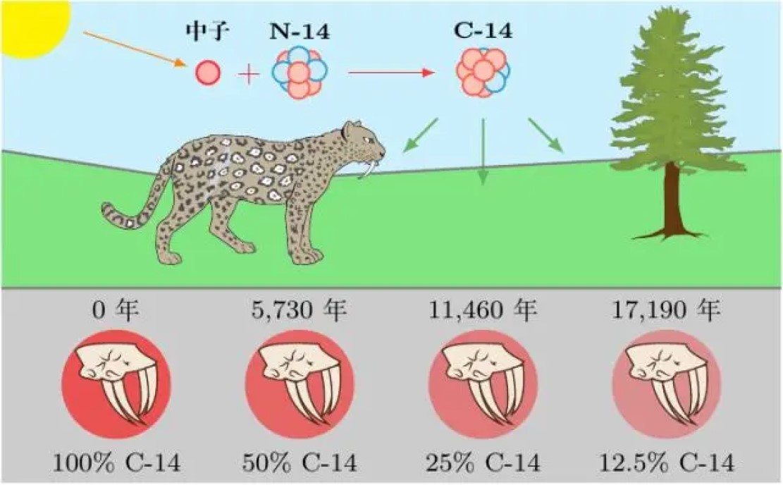 科学家是如何知道化石年代和地球年龄？得益于一项革命性发明