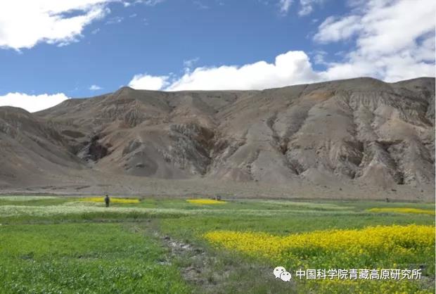 喜马拉雅山高度之争