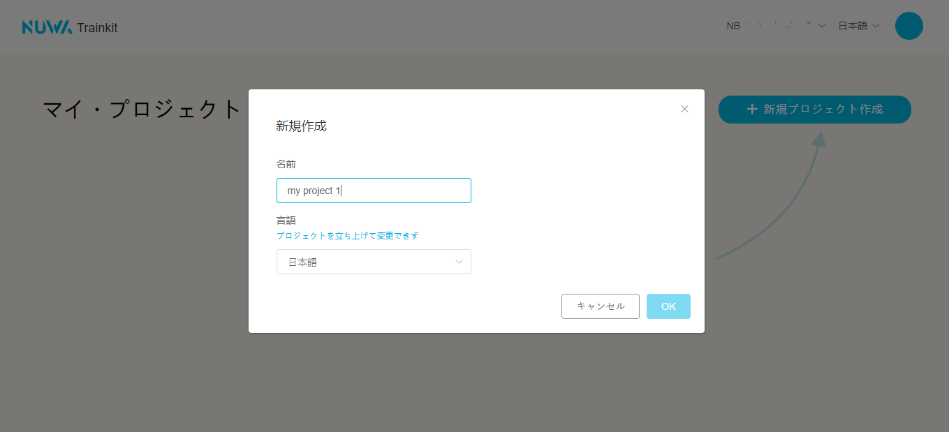 project name