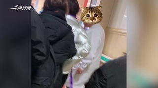 c-Angelababy手指受伤仍不忘抽烟 医院外吞云吐雾