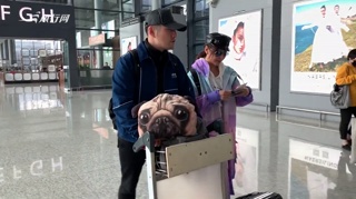 c-严屹宽一家三口游迪士尼后返京 机场享受二人世界恩爱甜蜜