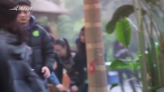 c-秦岚发博否认恋情：是认识多年的老友