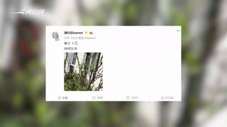c-谭松韵发文称继续生活似走出阴霾 获网友加油打气